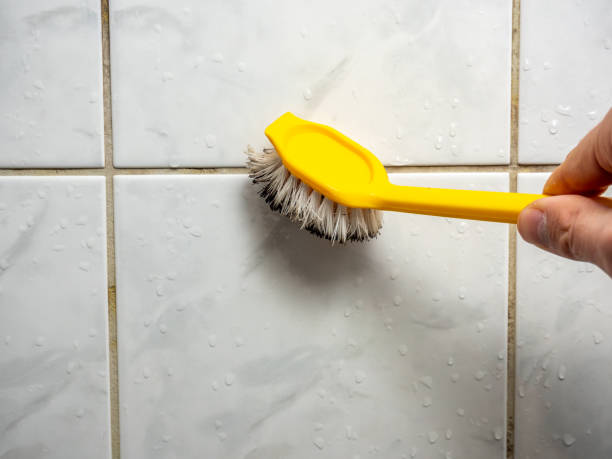 Best Office Mold Removal Services  in Brookmont, MD
